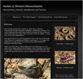 Snakes in Western Massachusetts